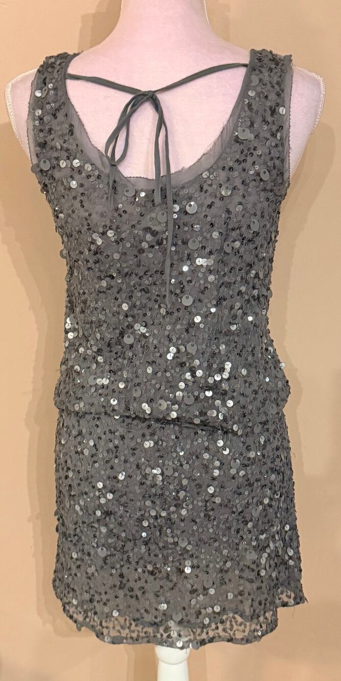 Gold Hawk Women's Small Sequin Mini Dress Gray Silk Slip Tie Back Sleeveless